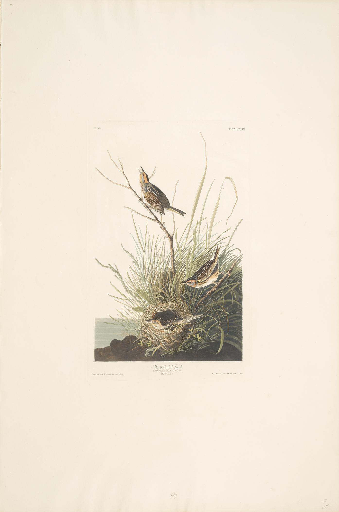 1959.0162.076 Print, view 1