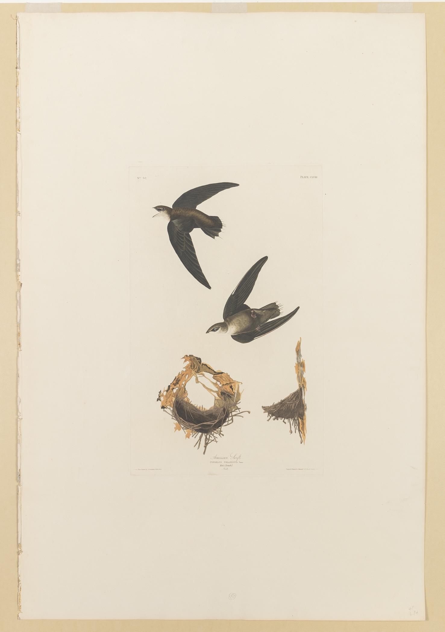 1959.0162.080 Print, view 1