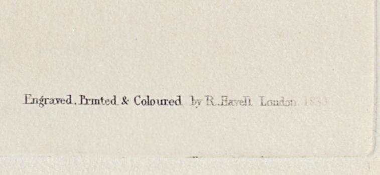 1959.0162.080 Print, Detail 9