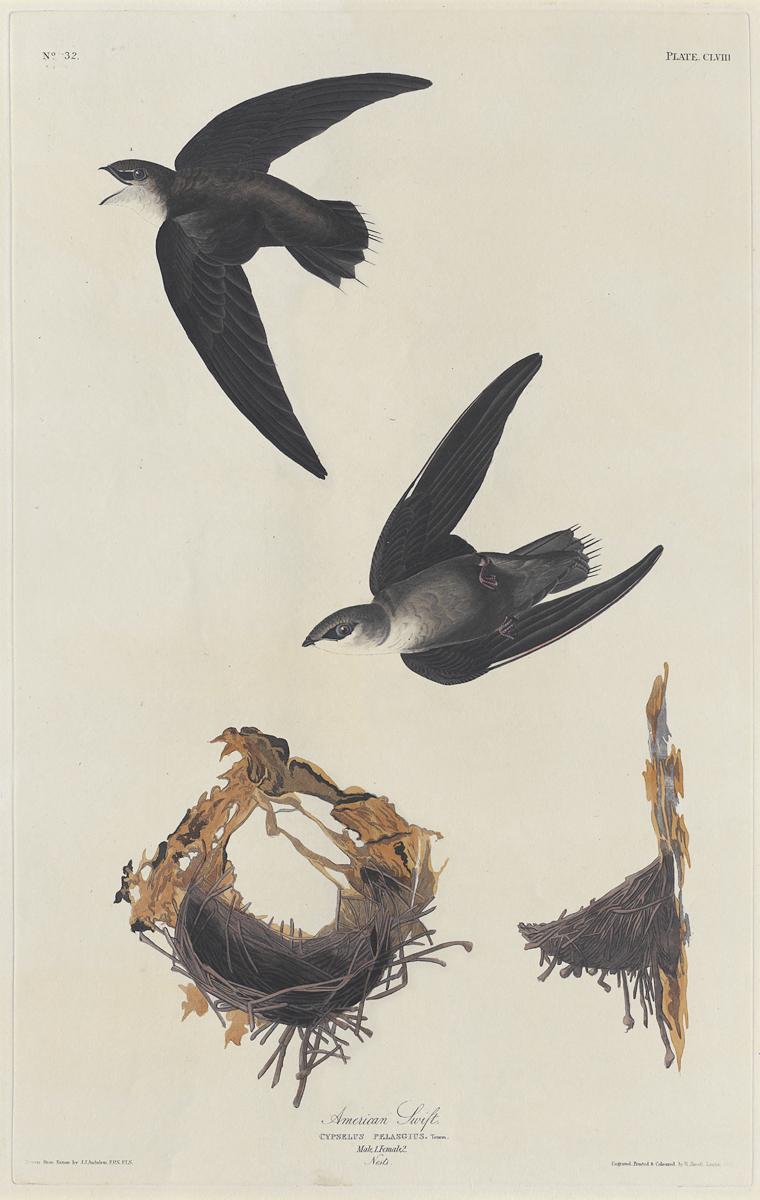 1959.0162.080 Print, View 2
