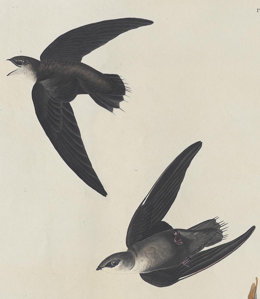 1959.0162.080 Print, Detail