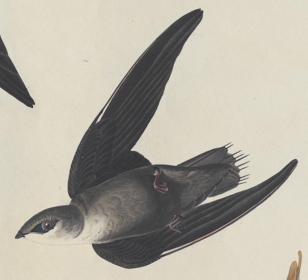 1959.0162.080 Print, Detail 4