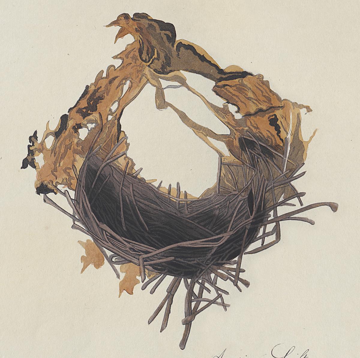 1959.0162.080 Print, Detail 5