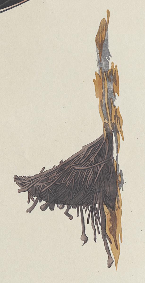 1959.0162.080 Print, Detail 6