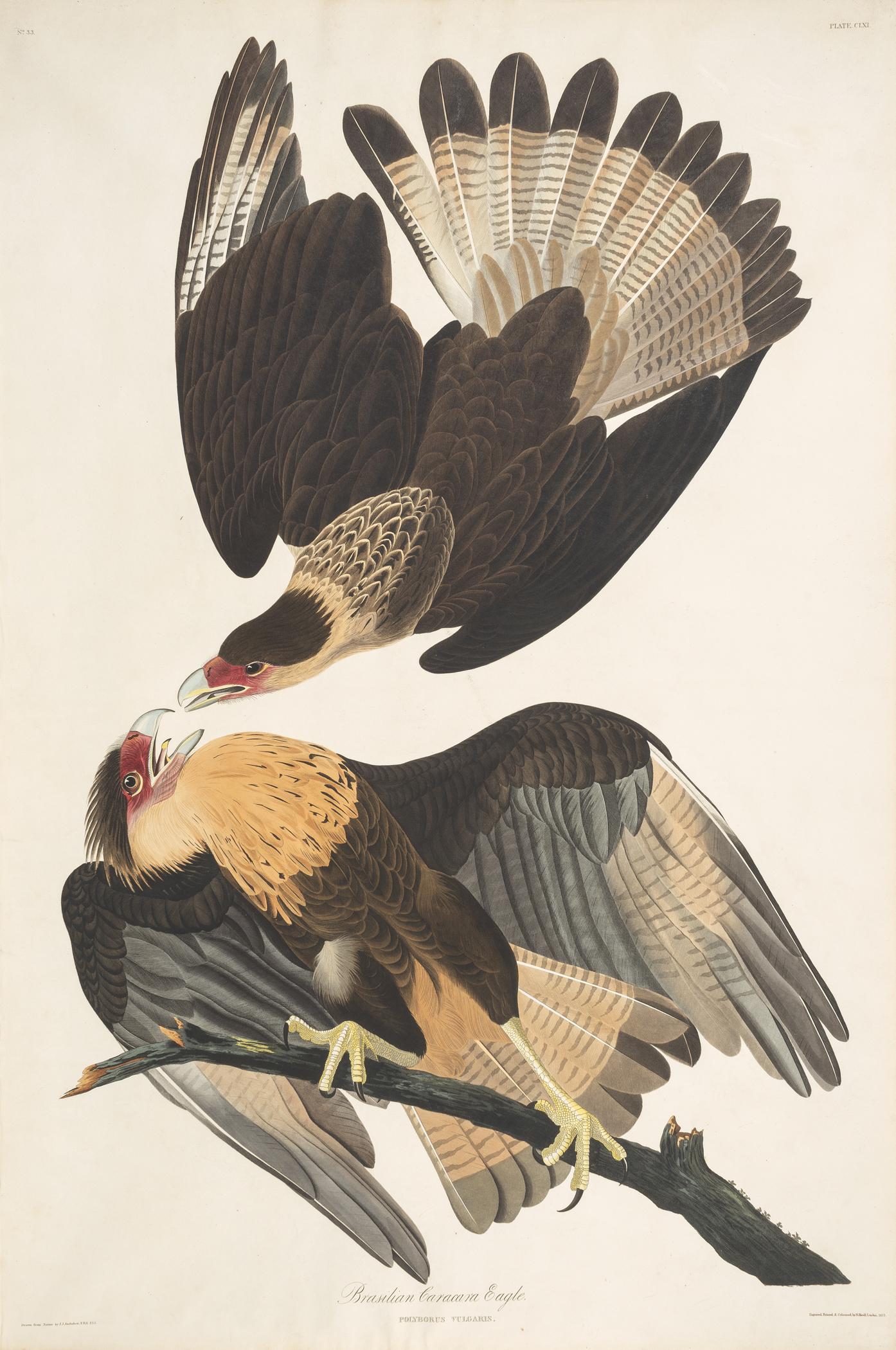 1959.0162.081 Print, view 1