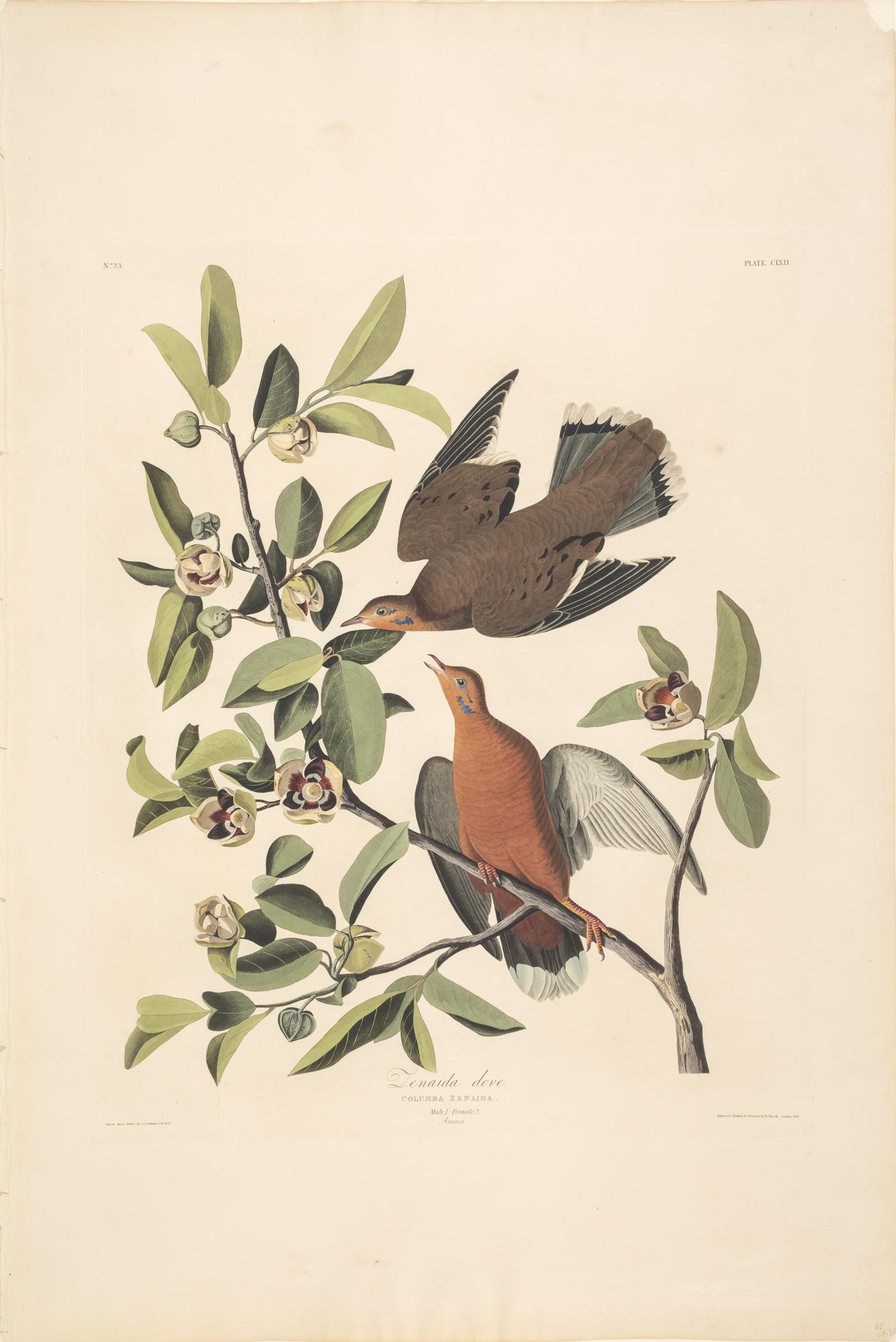 1959.0162.082 Print, view 1