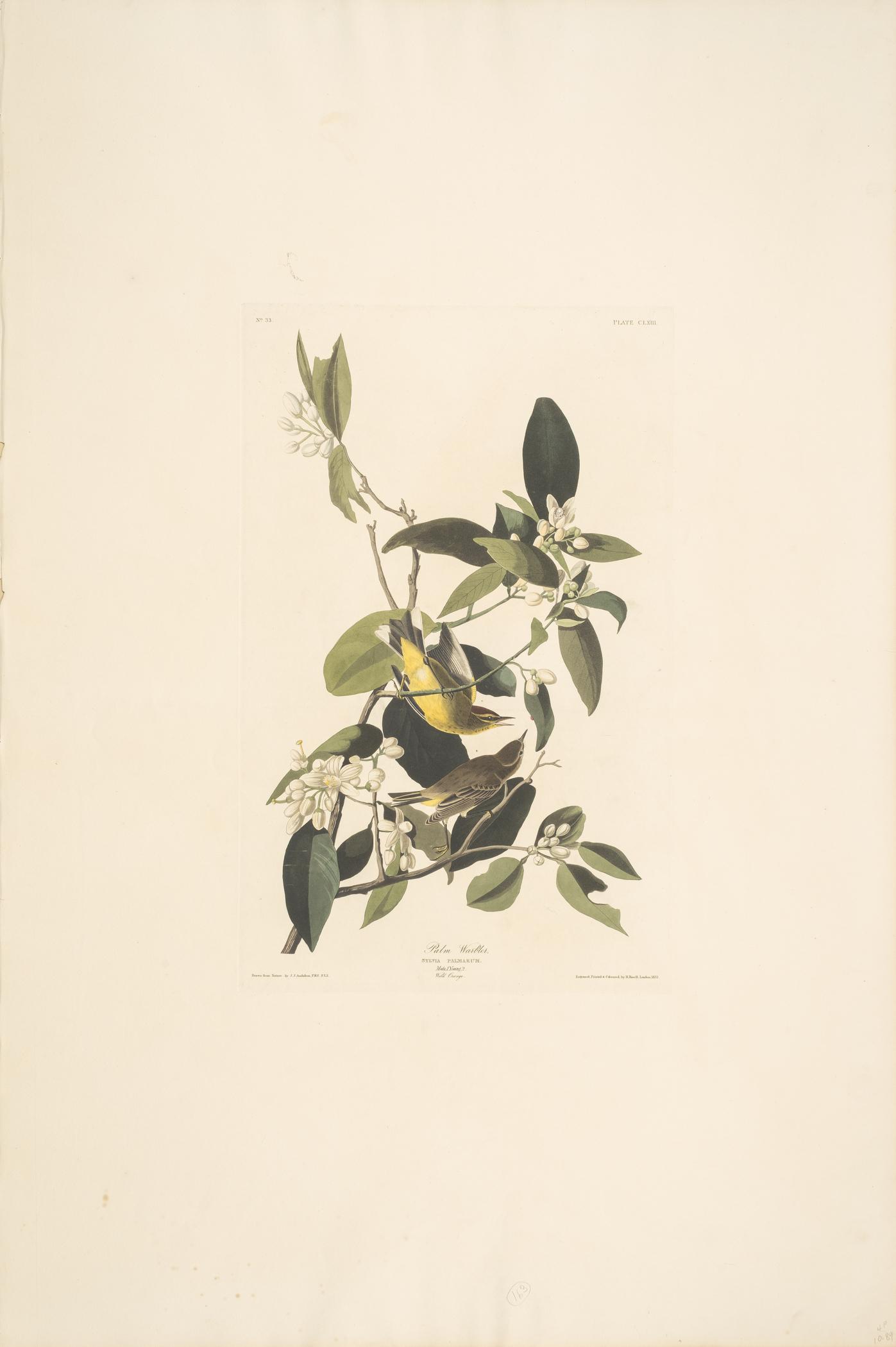 1959.0162.083 Print, view 1