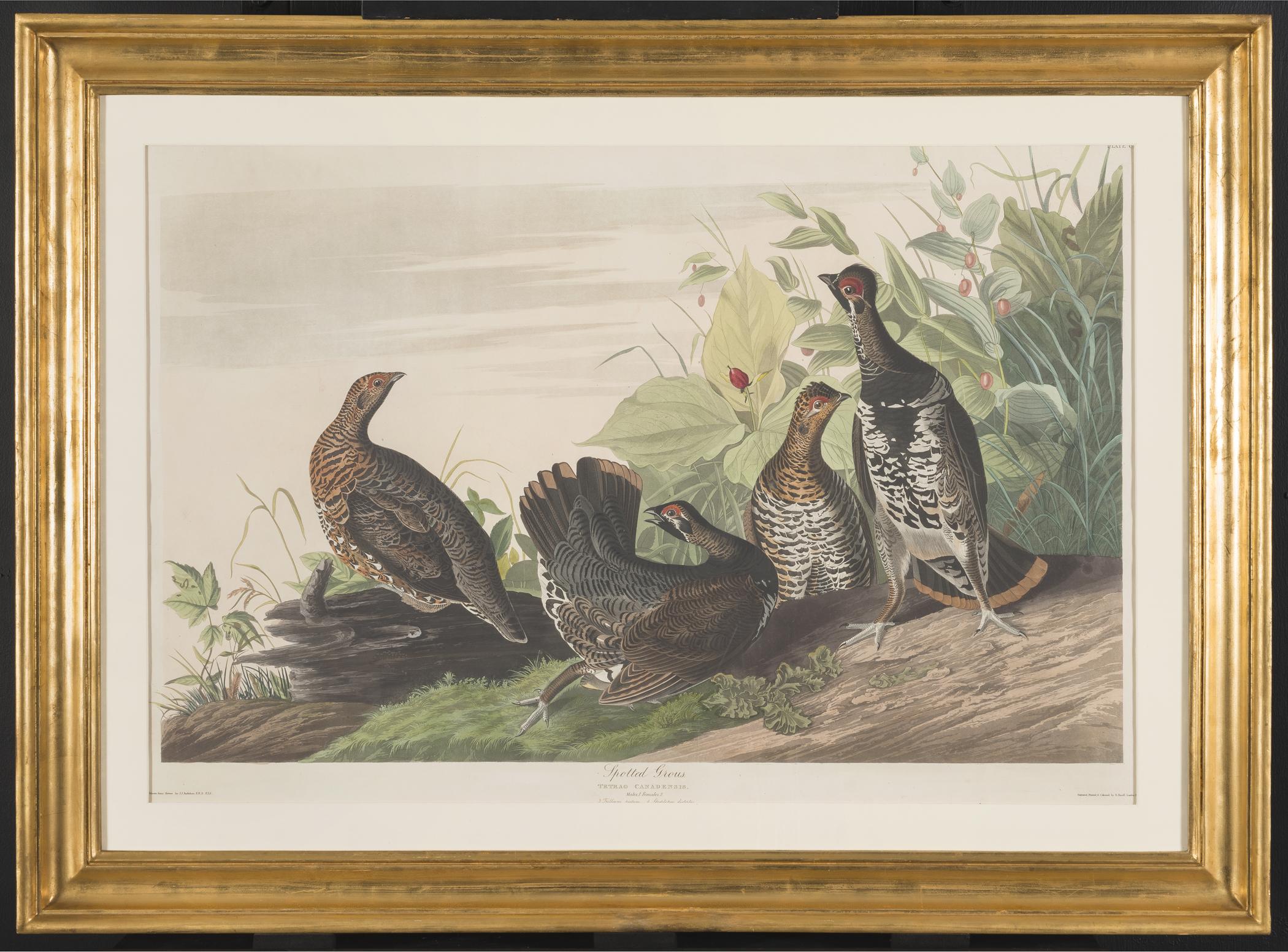 1959.0162.089 Print, view 1