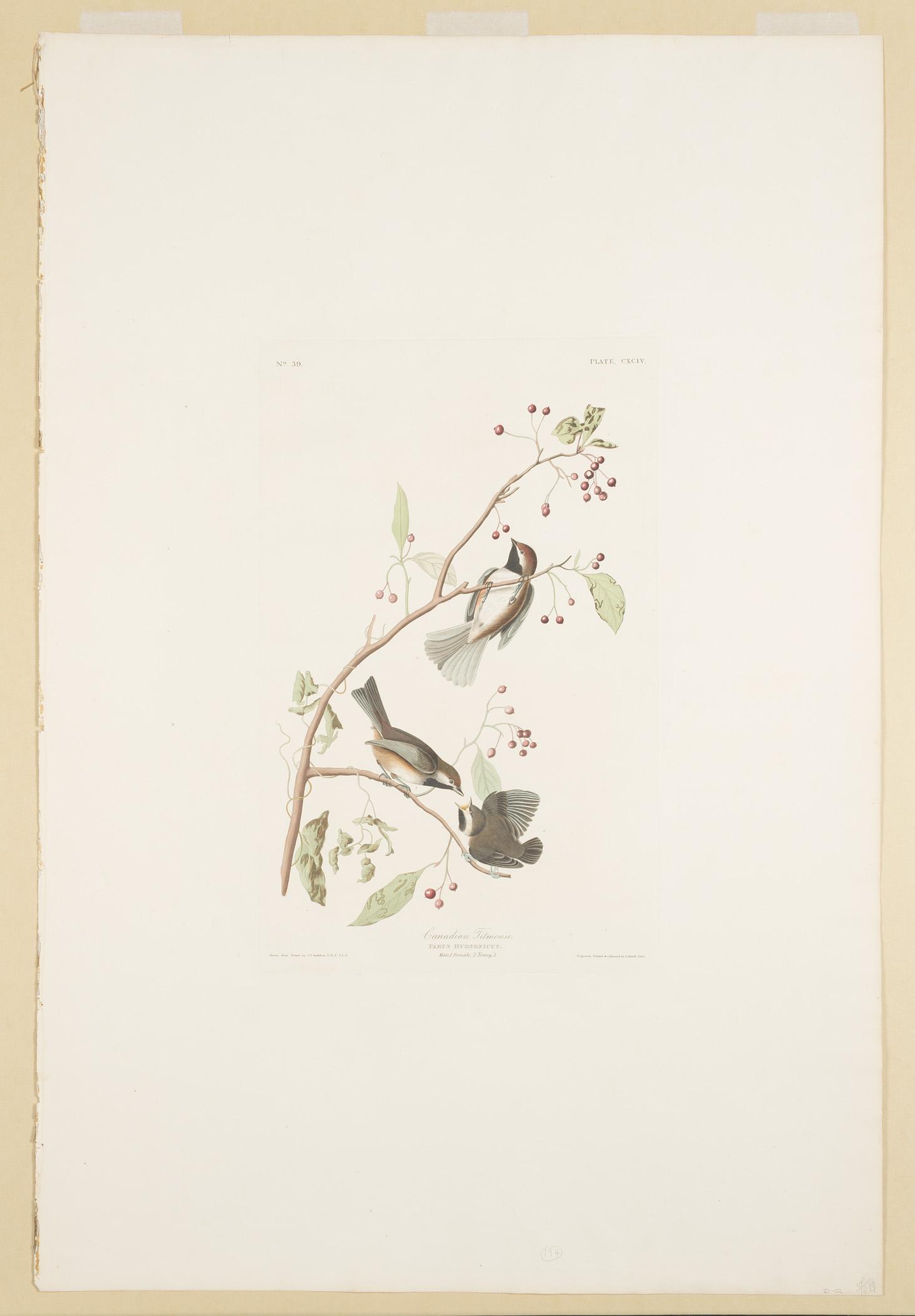 1959.0162.102 Print, view 1