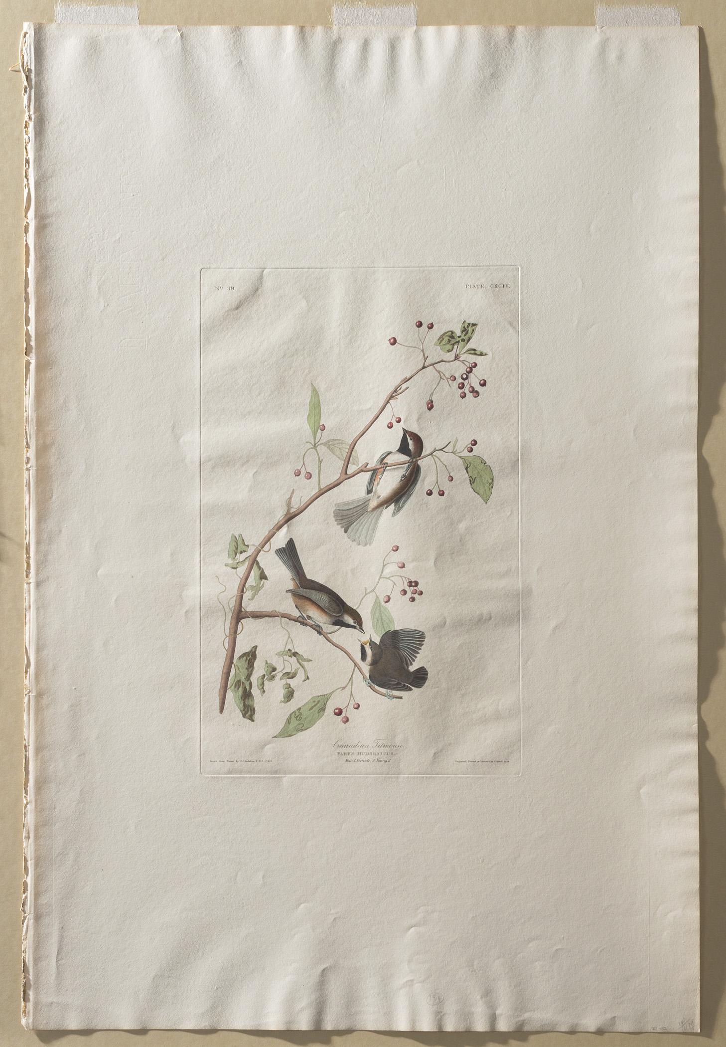 1959.0162.102 Print, view 2, raking light
