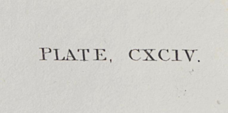 1959.0162.102 Print, Detail 9