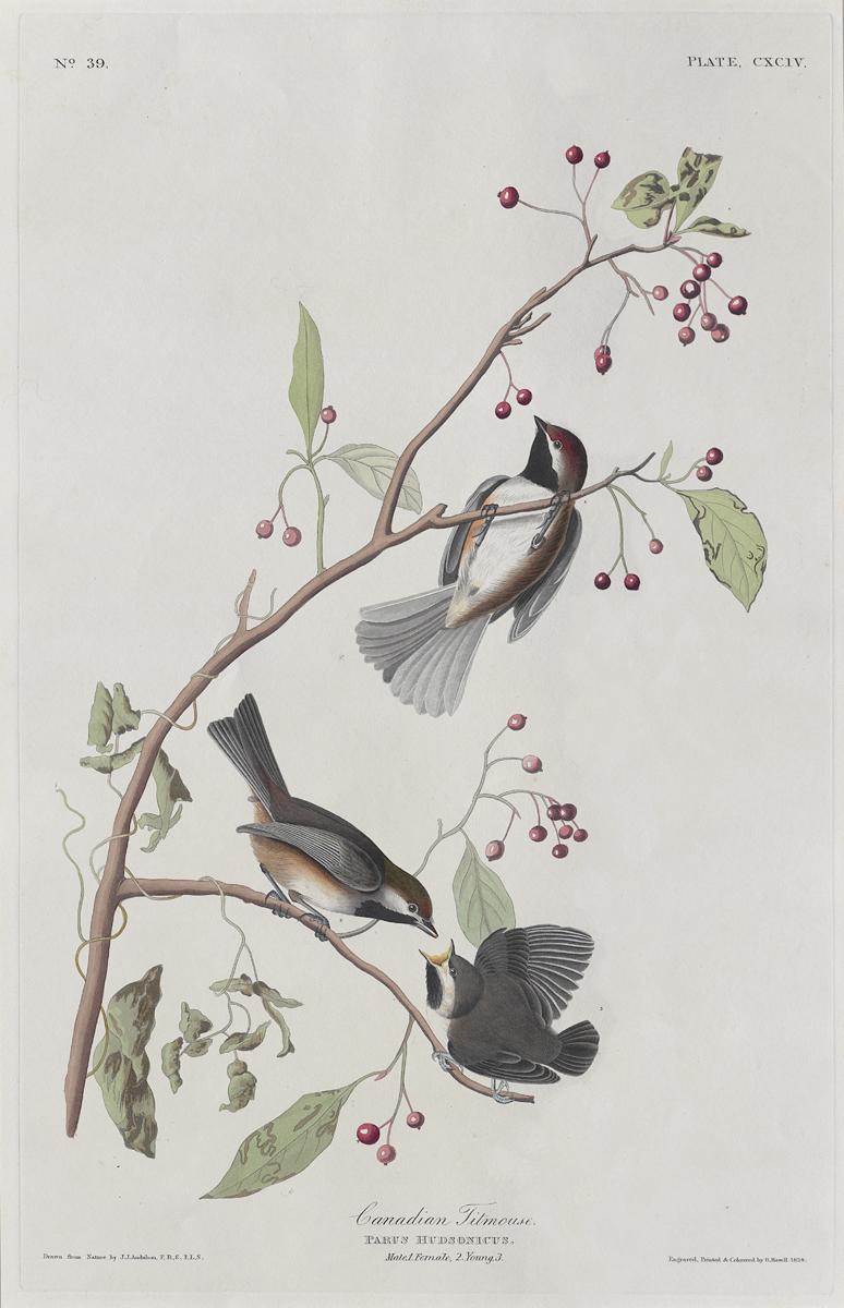 1959.0162.102 Print, View 2