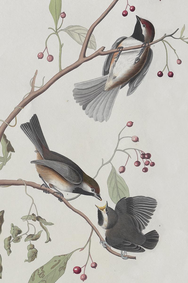 1959.0162.102 Print, Detail