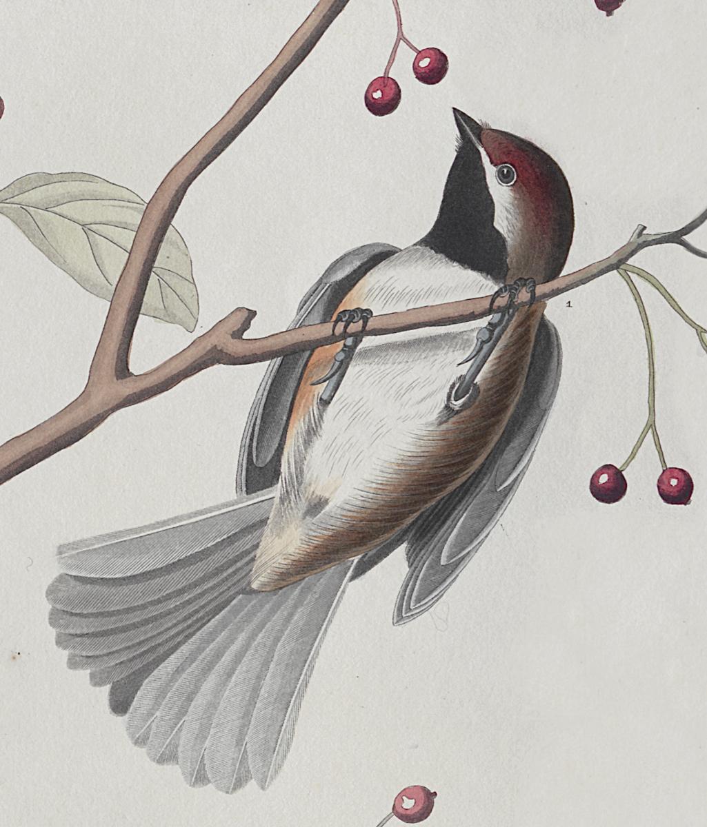 1959.0162.102 Print, Detail 2