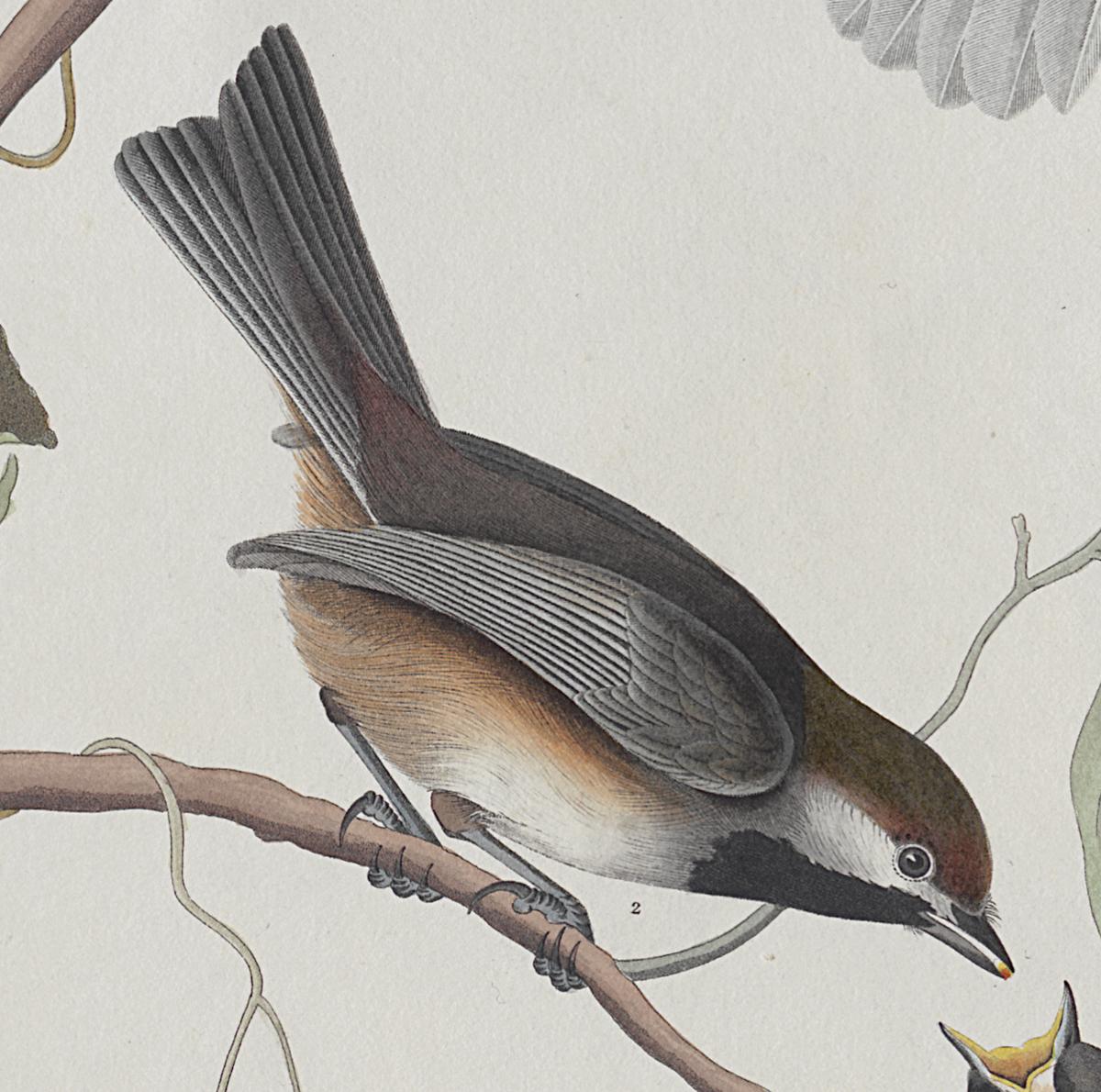 1959.0162.102 Print, Detail 3