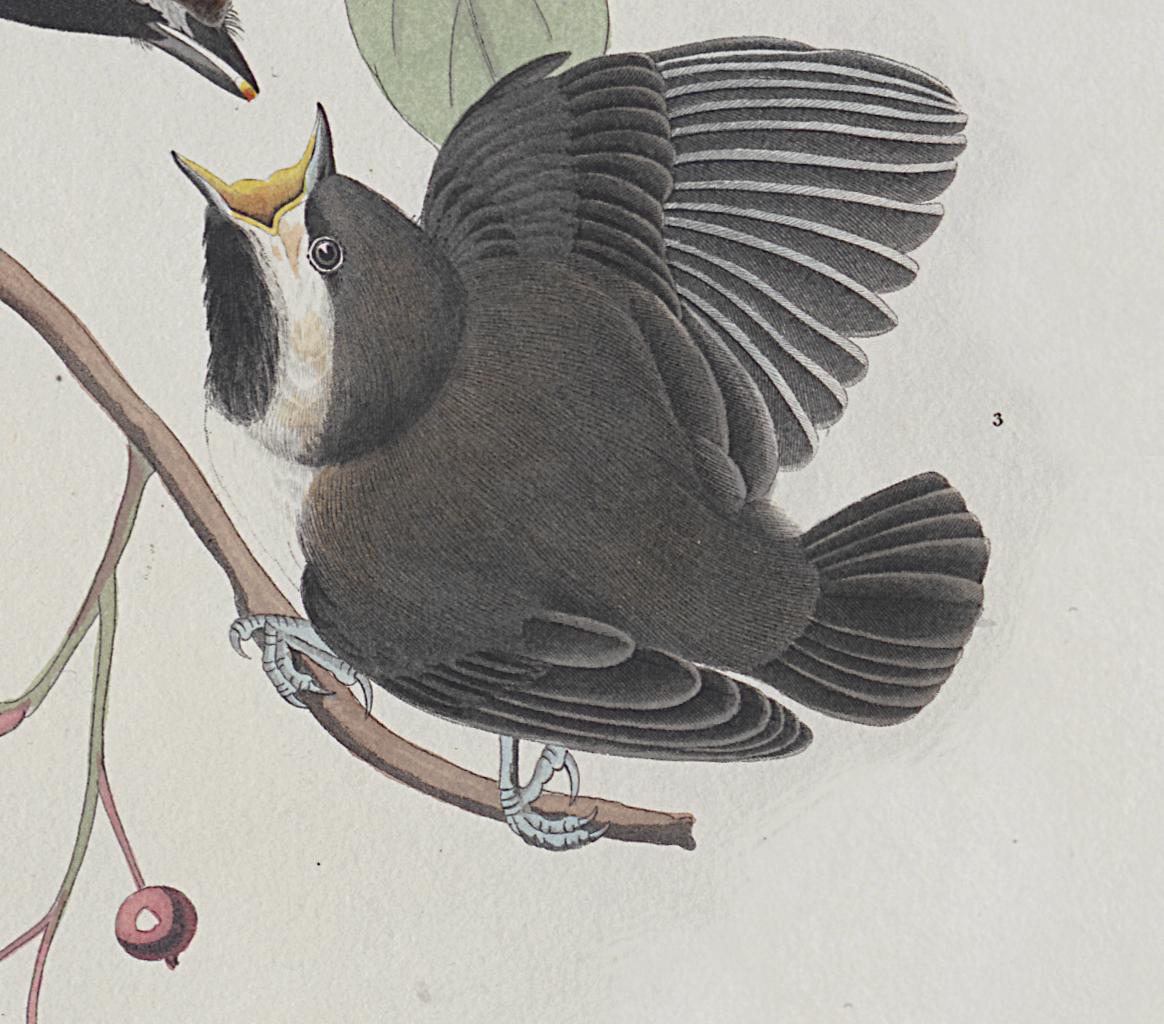 1959.0162.102 Print, Detail 4