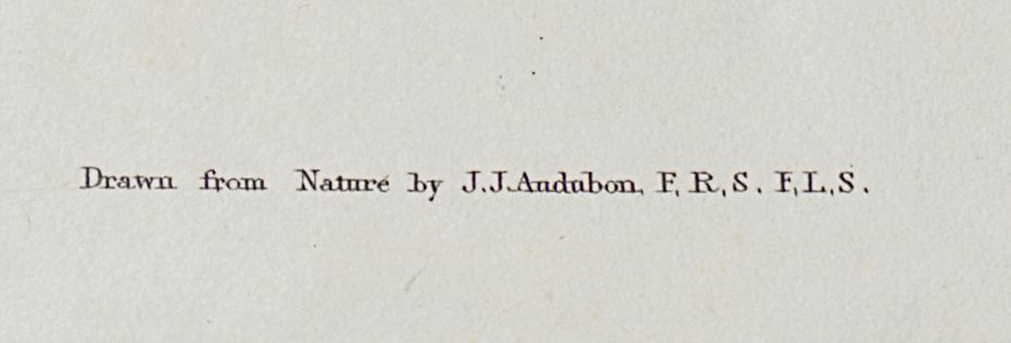1959.0162.102 Print, Detail 6