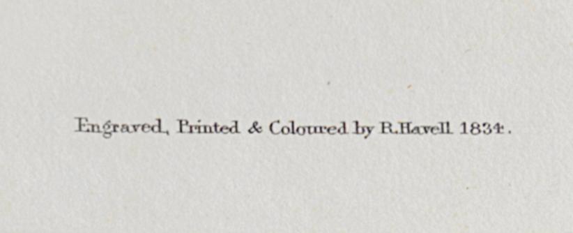 1959.0162.102 Print, Detail 7