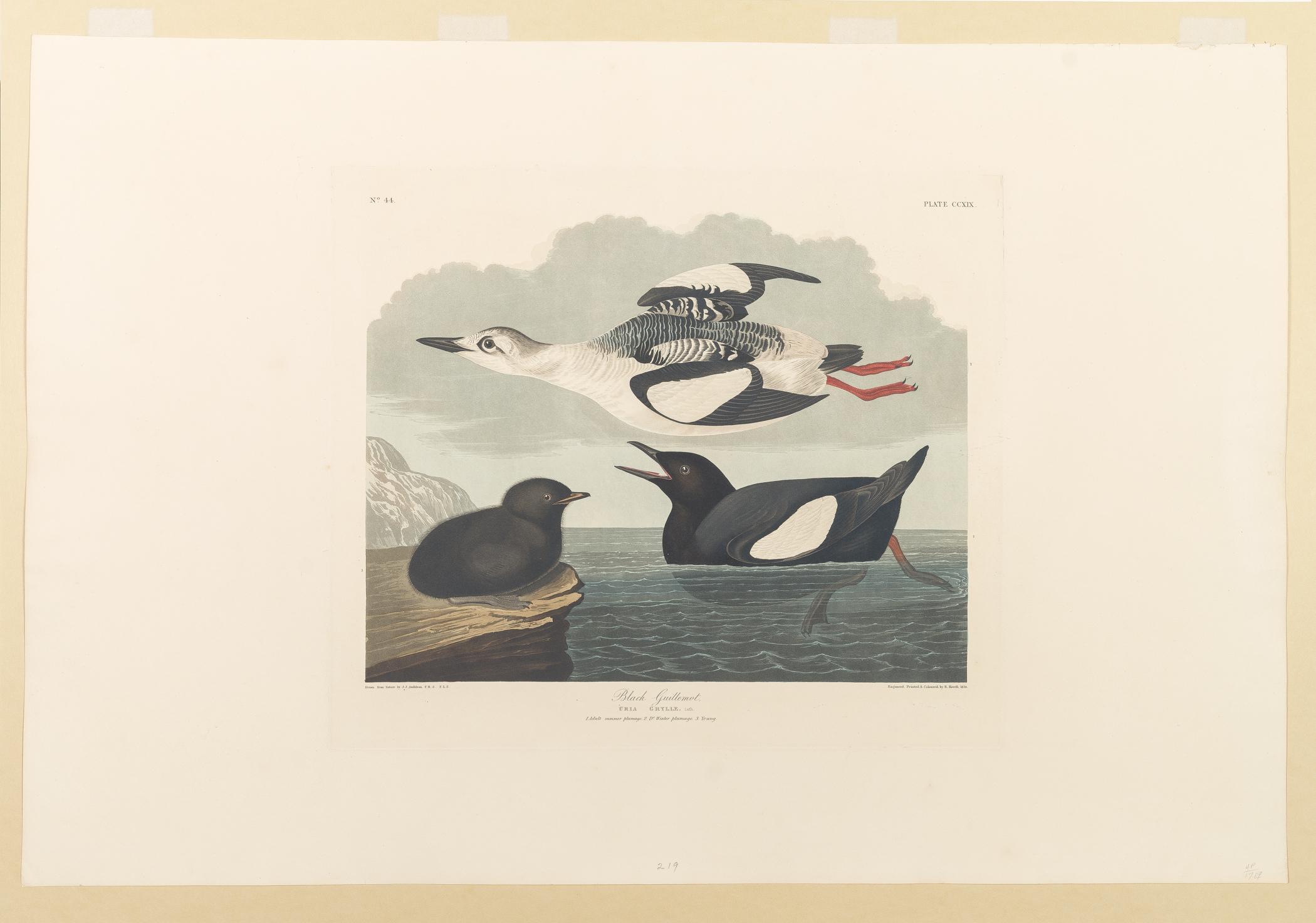 1959.0162.115 Print, view 1