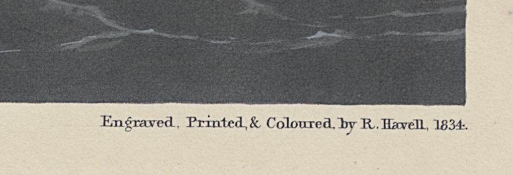 1959.0162.115 Print, Detail 6