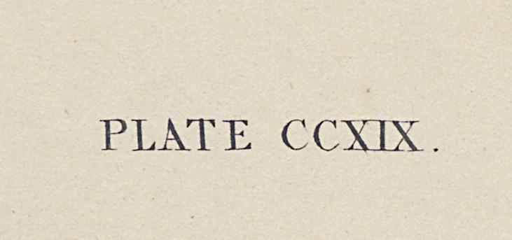1959.0162.115 Print, Detail 7