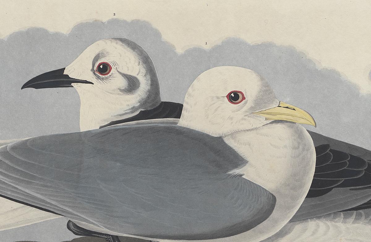 1959.0162.119 Print, Detail