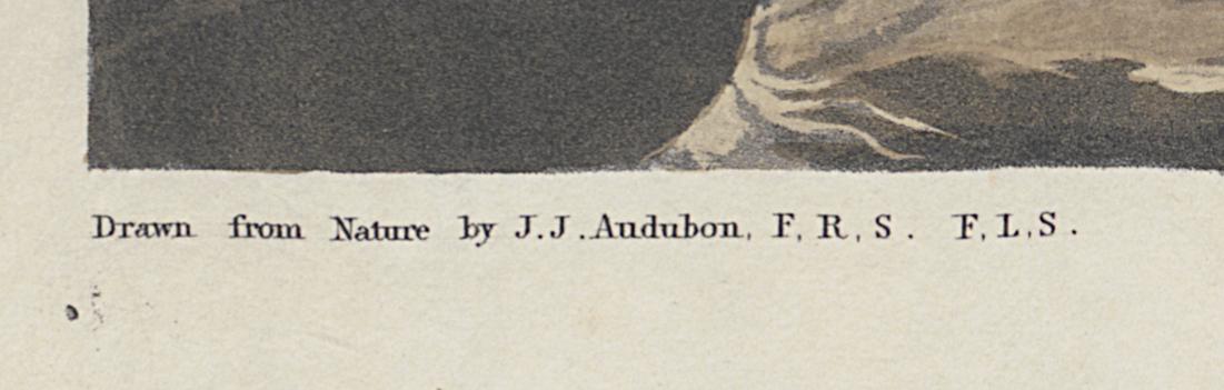 1959.0162.119 Print, Detail 3