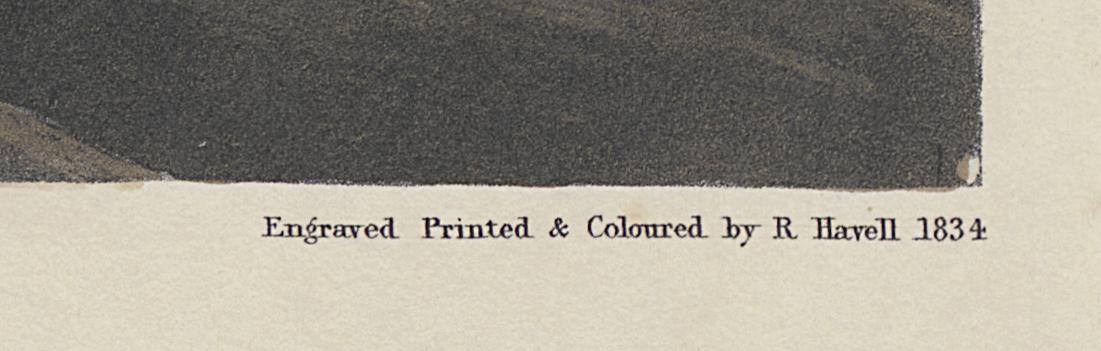 1959.0162.119 Print, Detail 4