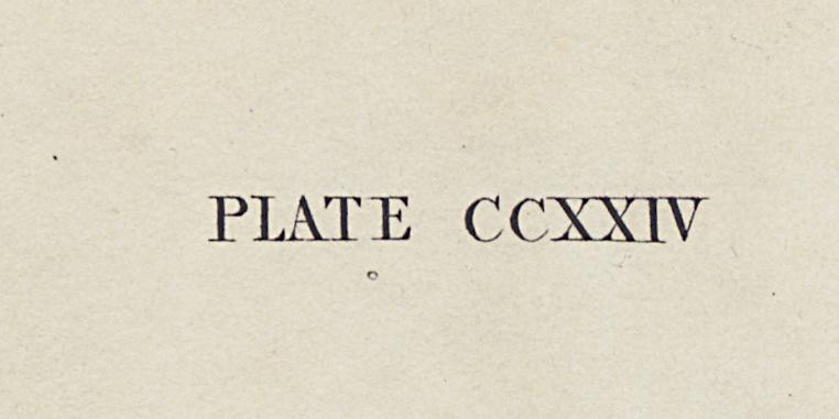 1959.0162.119 Print, Detail 6