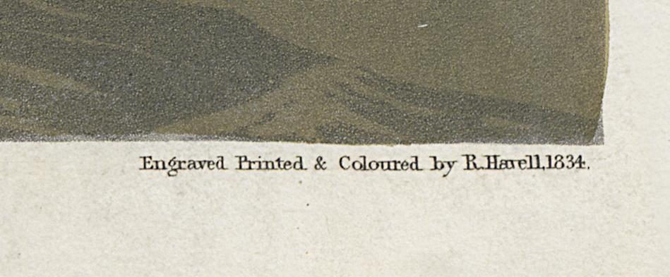 1959.0162.122 Print, Detail 6