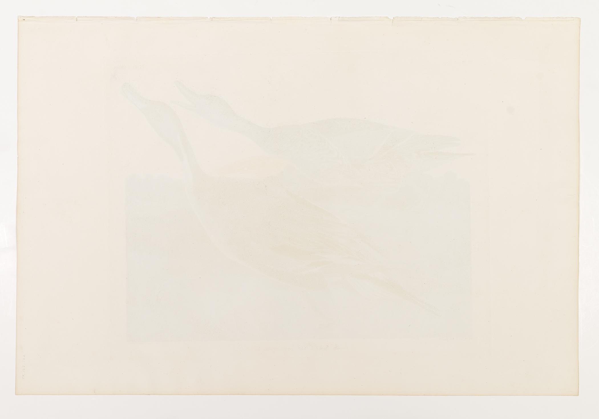 1959.0162.122 Print, view 3, reverse