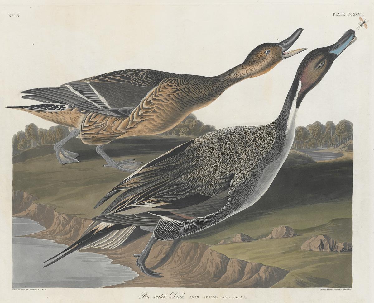 1959.0162.122 Print, View 2