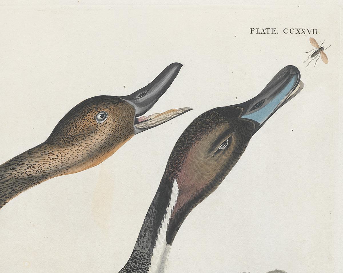 1959.0162.122 Print, Detail