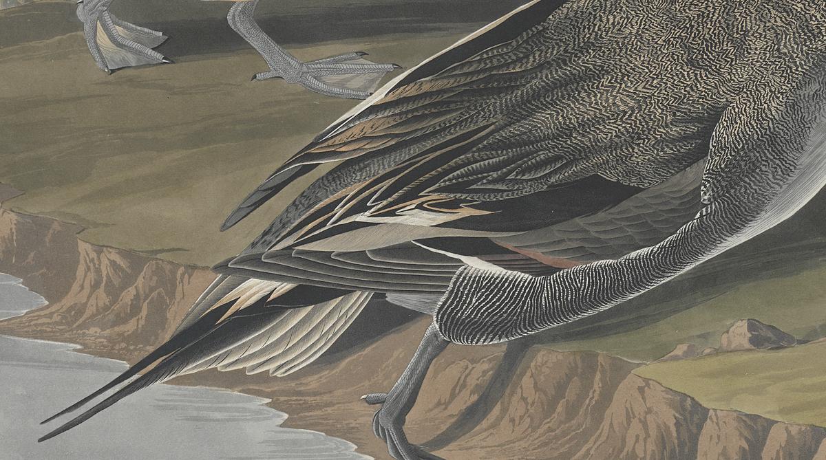 1959.0162.122 Print, Detail 2