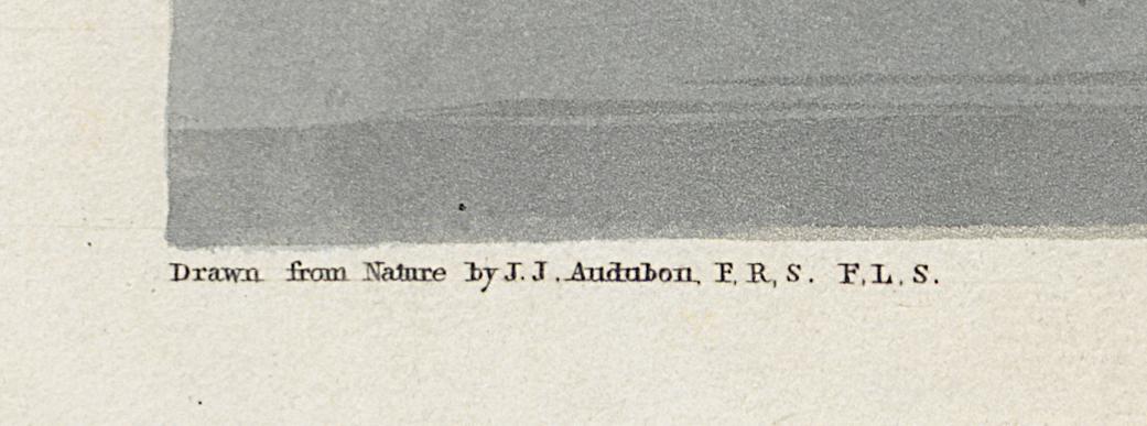 1959.0162.122 Print, Detail 5