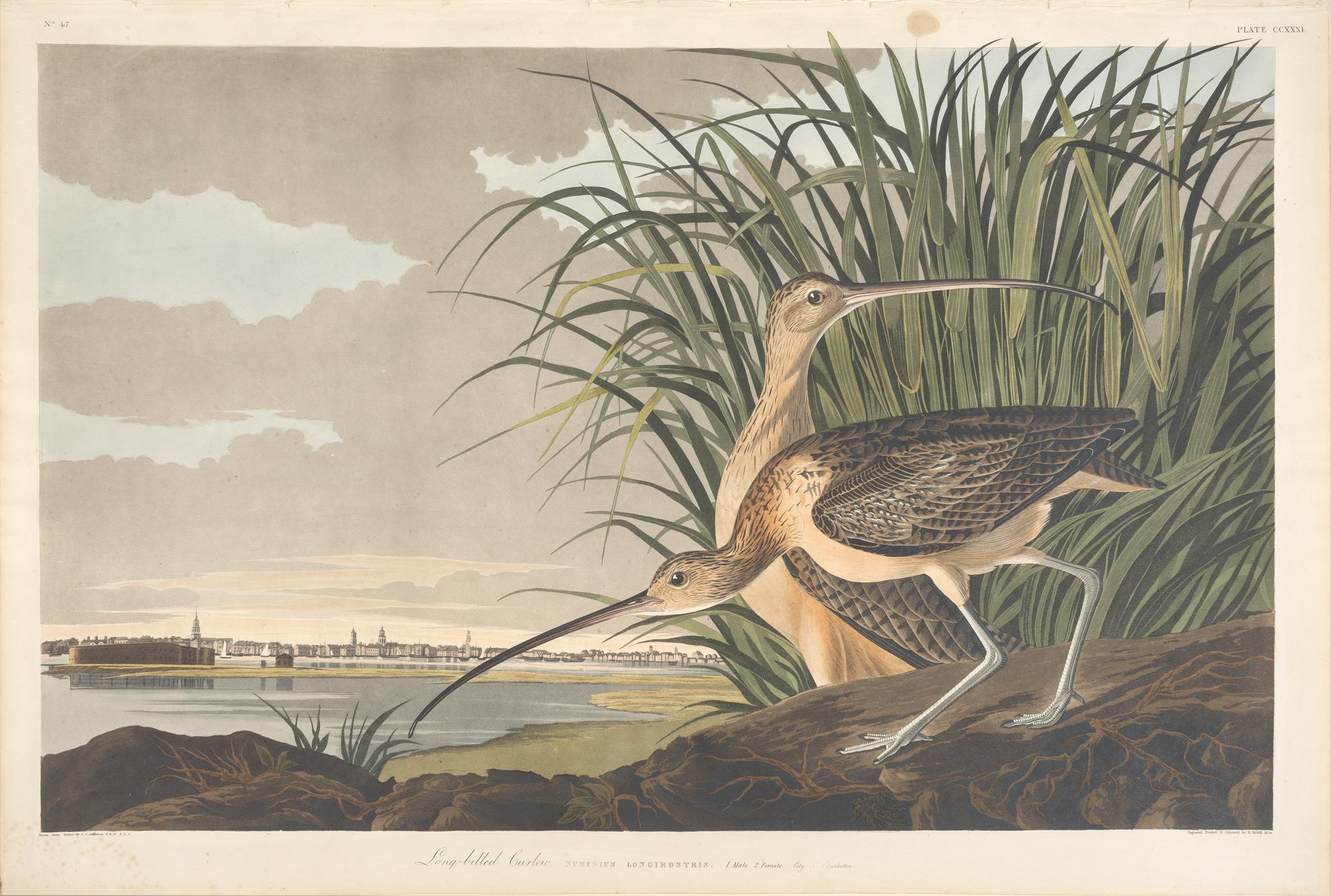 1959.0162.123 Print, view 1