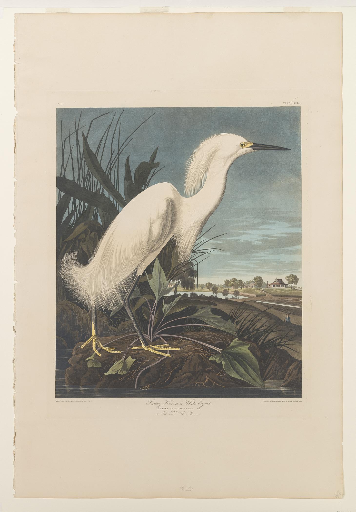 1959.0162.131 Print, view 1