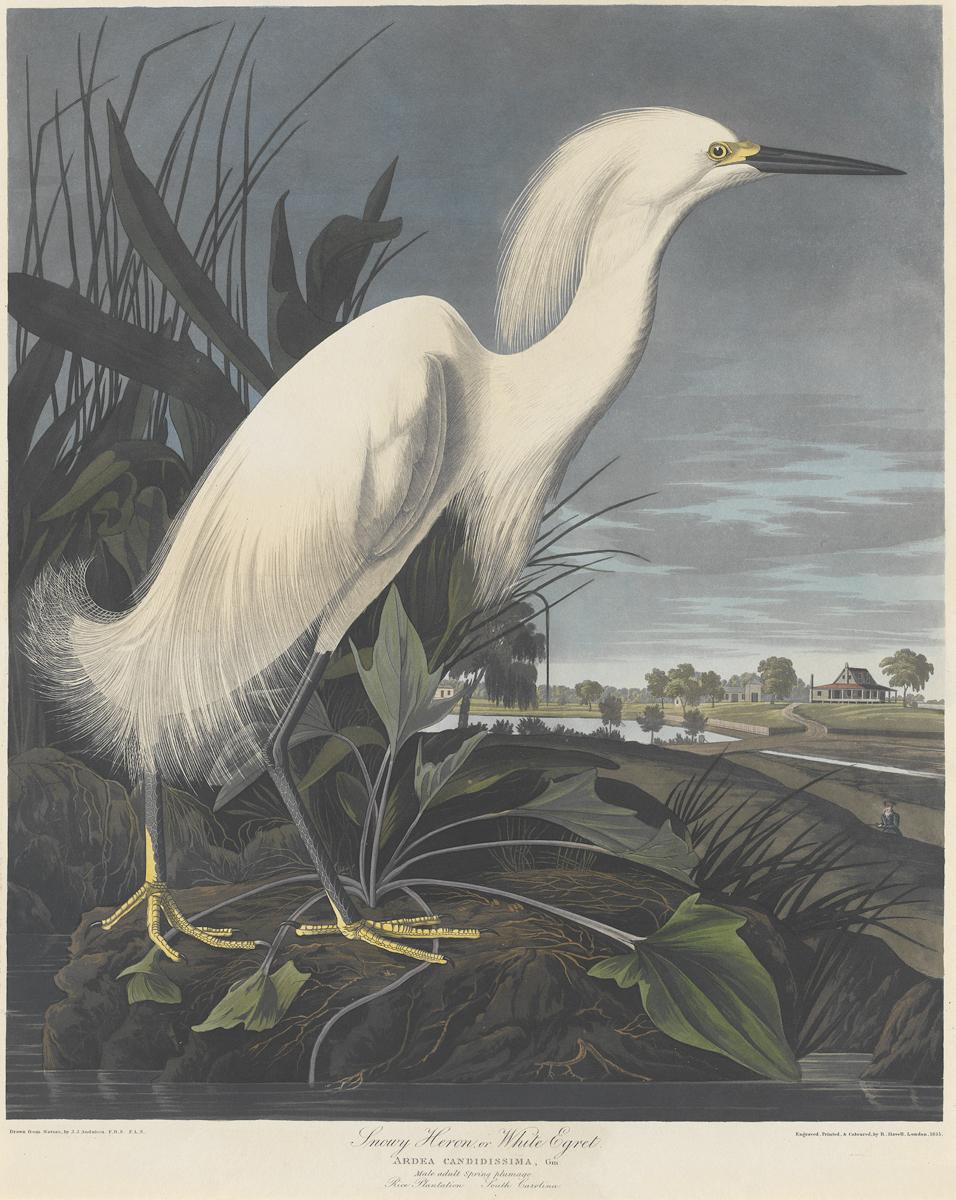 1959.0162.131 Print, View 2