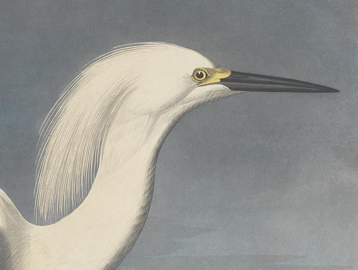 1959.0162.131 Print, Detail