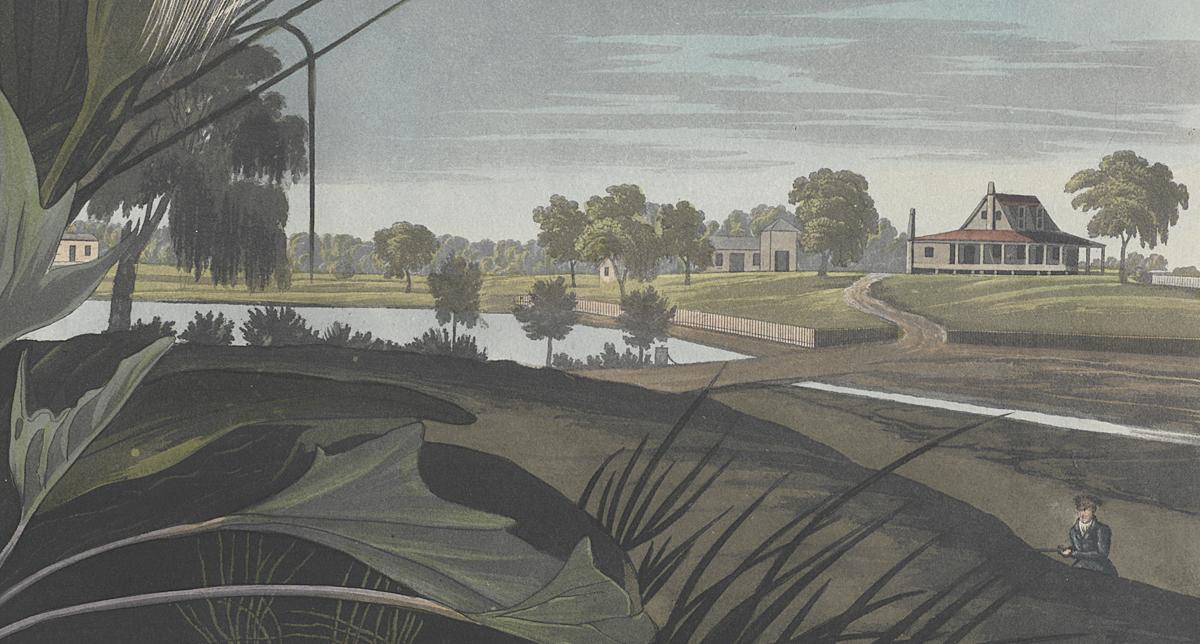 1959.0162.131 Print, Detail 3