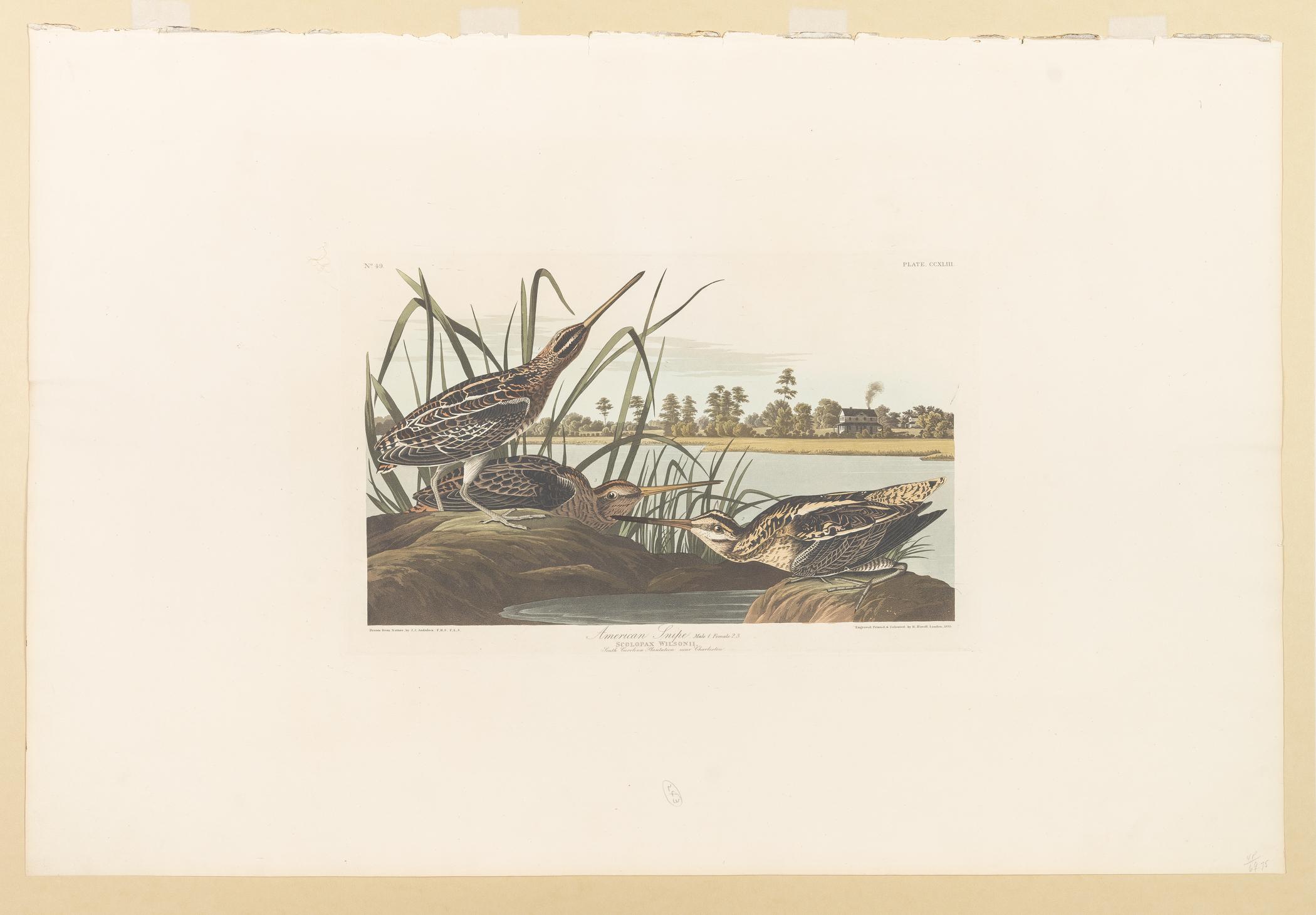 1959.0162.132 Print, view 1