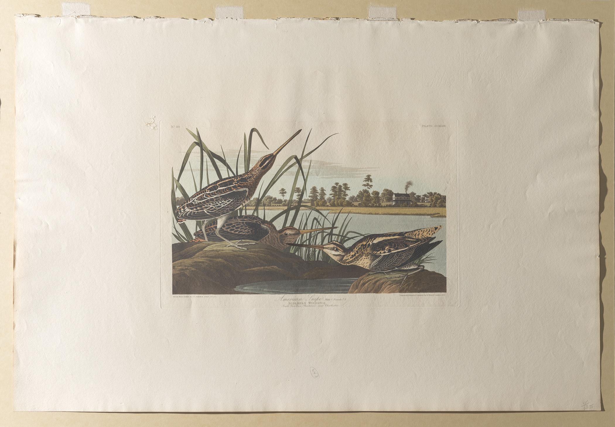 1959.0162.132 Print, view 2, raking light