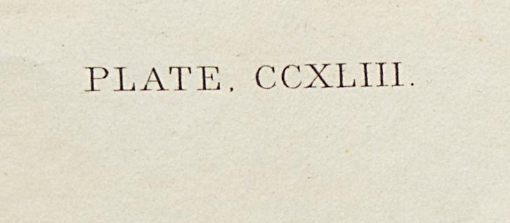 1959.0162.132 Print, Detail 8