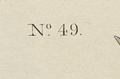 1959.0162.132 Print, Detail 9