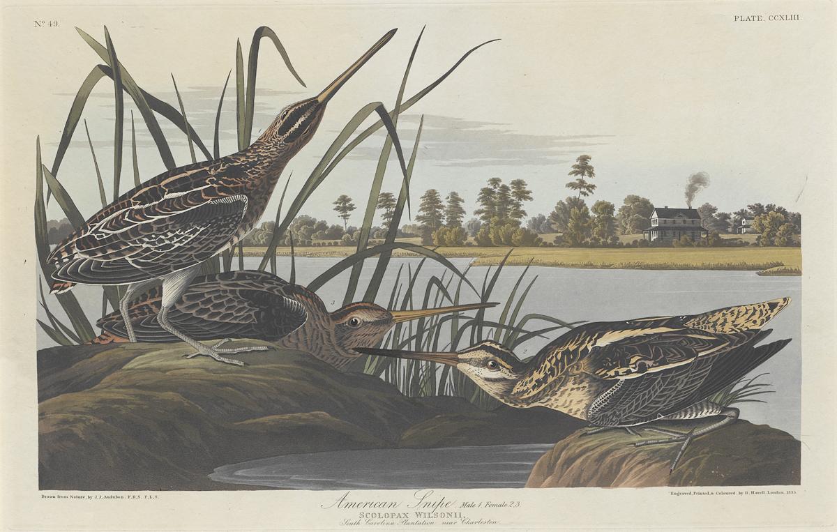 1959.0162.132 Print, View 2