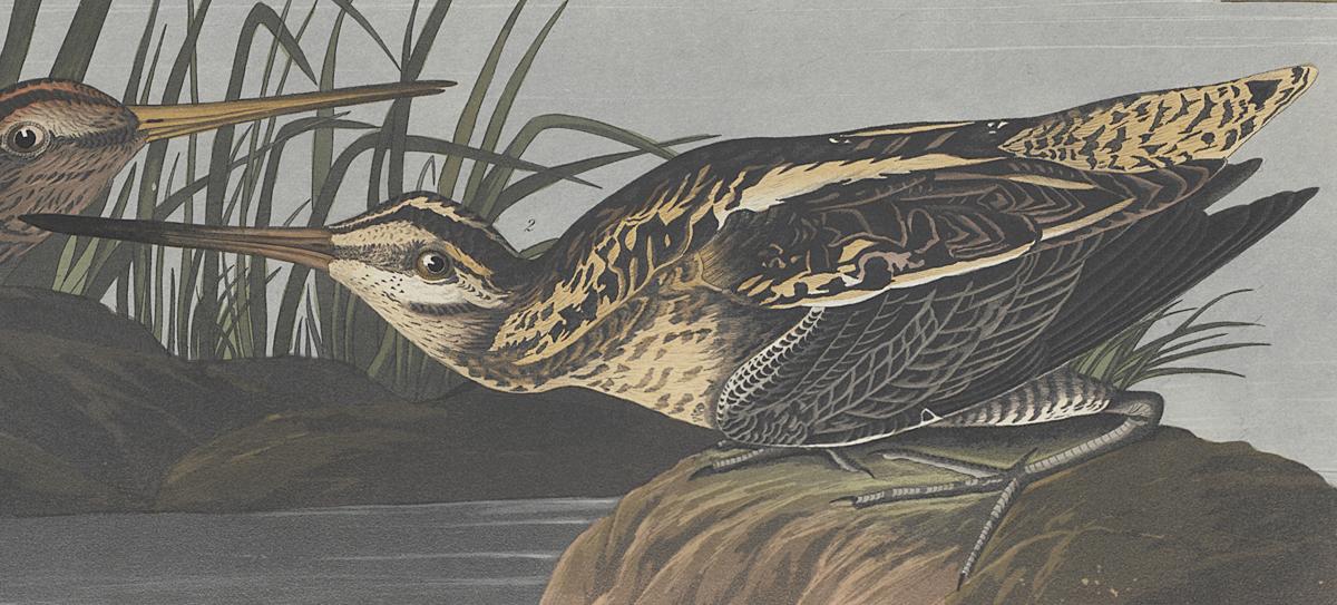 1959.0162.132 Print, Detail 2