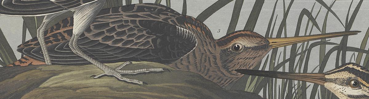 1959.0162.132 Print, Detail 3