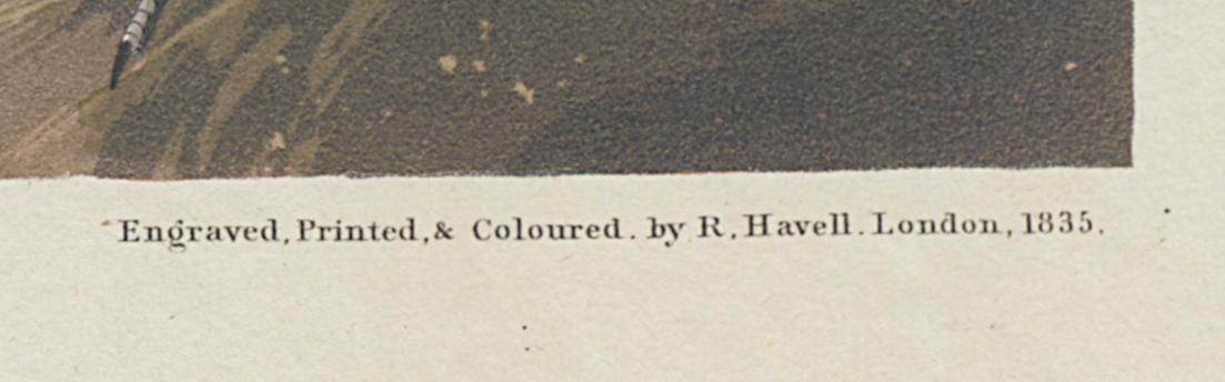 1959.0162.132 Print, Detail 7