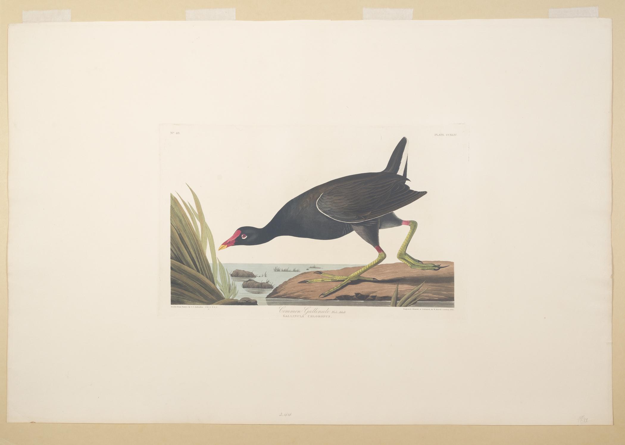 1959.0162.133 Print, view 1