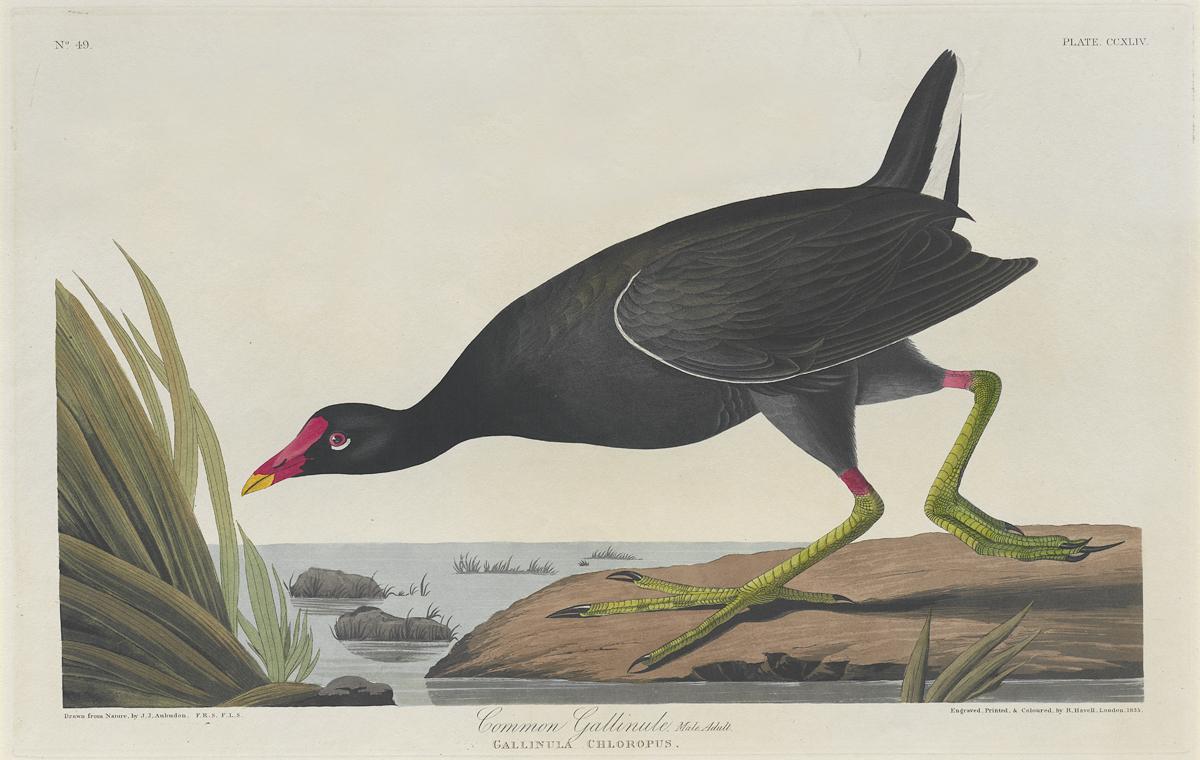 1959.0162.0133 Print, View 2